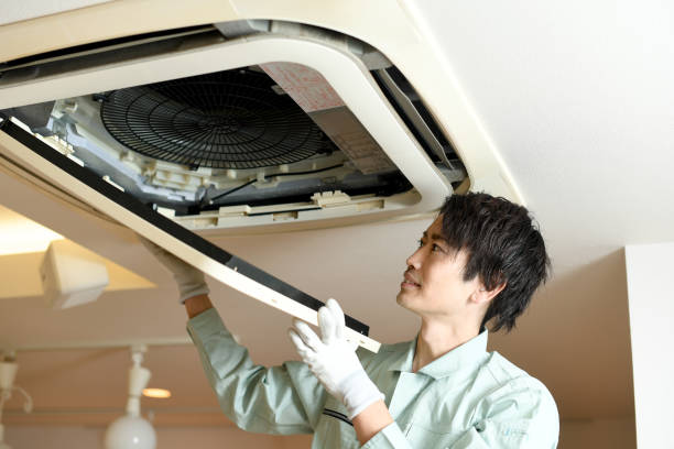 Best Air Vent Cleaning Services  in Burlington, ND